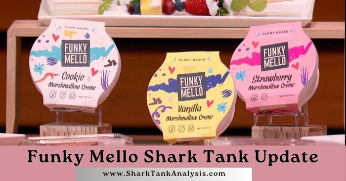 funky mello shark tank update