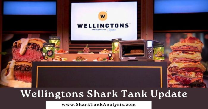 wellingtons shark tank update